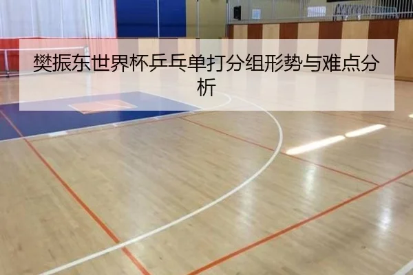 樊振东世界杯乒乓单打分组形势与难点分析